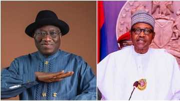 2023: Jigon APC ya bayyana matsayar Buhari a kan takarar Goodluck Jonathan