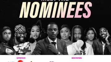 Opeyemi Famakin, Phyna, Daniel Regha, Tolani Baj…others, Meet the Nominees for Trendupp Awards 2024