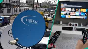 Jubilation as DStv reaches new agreement for 12 channels