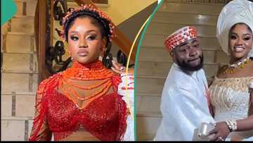 Chivido 2024: Davido's Chioma makes 1st wedding entrance with enticing Igbo dance, "Igbo Kwenu"