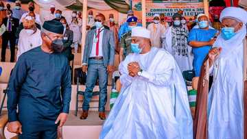 2023 presidency: Prominent politician reveals "aspirant" most APC, PDP governors want as Buhari's successor