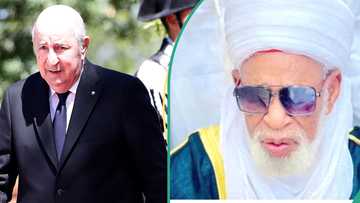 Algeria president thanked for awarding 140 fully-funded scholarships to Nigerians