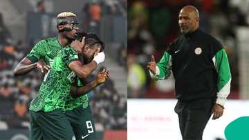 Eric Chelle gets serious warning concerning Lookman and Osimhen ahead of AFCON 2025