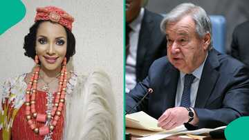 United Nations careers portal opens new job opportunities for Nigerians