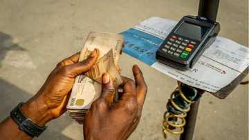 Gwamnatin Tarayya Za Ta Ci Masu Sana'ar Tarar Naira Miliyan 1 Saboda Saba Ka'ida Daya Rak