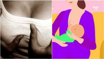 Health is wealth: Expert rolls out 7 benefits of massaging women’s bosom