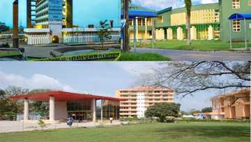 The most beautiful university in Nigeria: Top 10 in 2024