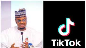 Rashin da'a da karya: Gwamnatin Buhari ta shiga damuwa kan yadda ake amfani da Tik-Tok