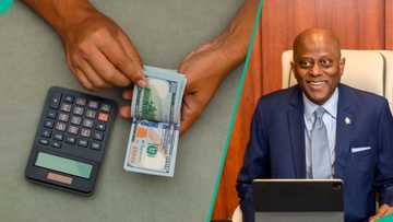 CBN governor sends message to Nigerians: ‘No more naira devaluation’