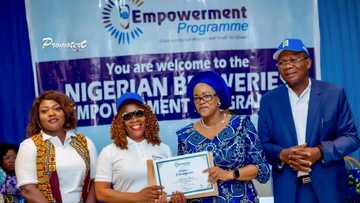 Nigerian Breweries Plc Empowers 472 Youth and Women Across 6 Locations