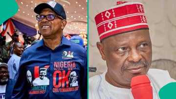 NDC’s VP position is an open door for Kano to produce president, Kwankwaso speaks
