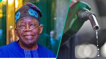 Federal government lists 11 major economic reforms implemented since May 2023