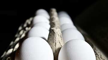 United States imports eggs from Korea, Turkey to help ease prices