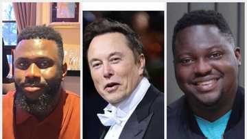 Two Fintech picked by Elon Musk to process Starlink purchases for Nigerians report N182m sales