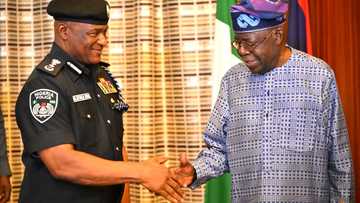 An gano kasashe 3 da gwamnatin Tinubu ta yi nazarinsu don kafa ƴan sandan jihohi