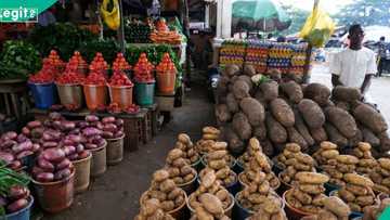 Nigerians now need N1,541 per day to eat healthy, 10 states most expensive