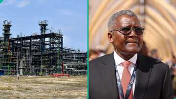 Big support as Dangote moves to build another 650,000bpd refinery, location confirmed