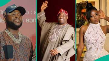 Davido graces Sophia's uncle Dele Momodu's 65th birthday in Lagos, billionaire Okoya, others spotted