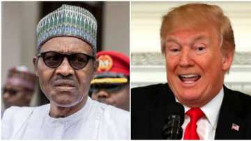 US raises alarm over Nigeria's election, reveals what could mar polls as UN says tensions are high