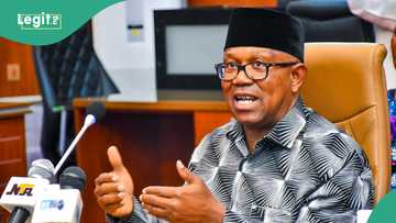Atiku's defection: PDP announces moves to bring Peter Obi back ahead of 2027