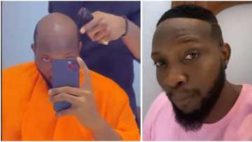 I was never bald: BBNaija’s Tuoyo boasts as he ditches old looks, Prince styles him with new wig, fans react