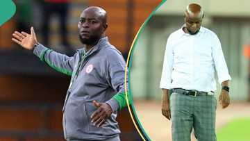 Full list of matches Finidi George oversaw, record he set as Super Eagles coach