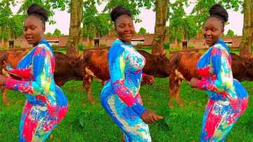 Elegant lady with good shape stands close to wow and shakes her waist while dancing, video emerges