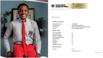 Nigerian boy passes WAEC with 8 A1's, wants to study medicine in university