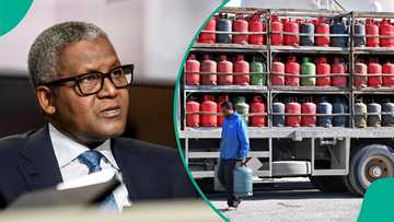 Of Dangote, “the owners of Nigeria” and the rest of us