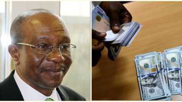 Naira appreciates against US dollar in all forex markets as banks resume old notes payment