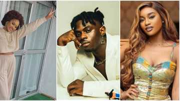 BBNaija 2022 verified gang: Phyna, Bryann, Beauty and other housemates with blue tick on Instagram