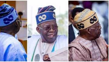 The Jagaban: 7 stylish hats rocked by Bola Tinubu with his signature symbol