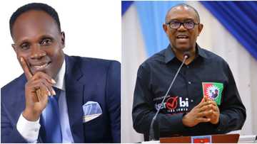 2023 Elections: Zenith Labour Party's Reps Candidate Declares Support for Peter Obi