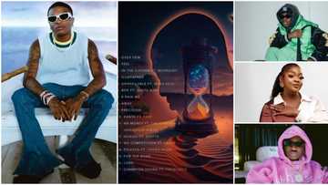 Timeless Album: Wizkid, Eniola Badmus, 7 other Nigerian celebs who stormed social media to show Davido love