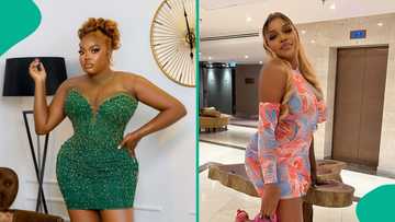 BBNaija Chinwe laments about how housemates leave plates unwashed, fans react: "Don't stress her"