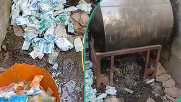 NAFDAC shuts Kaduna yoghurt depot, gives reasons for action