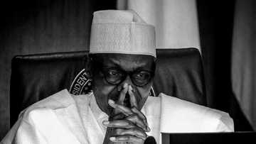 Dattawan arewa sun huro wa Buhari wuta, sun bukaci da ya sallami shugabannin tsaro