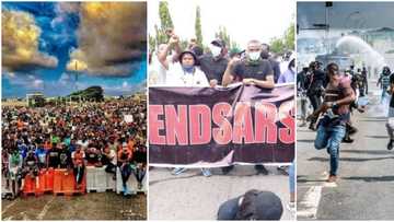 CBN Fault EndSARS Protesters For Dwindled Foreign Investment