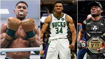 Meet Anthony Joshua, Kamaru Usman, Giannis Antetokounmpo: 3 amazing sportsmen making Nigeria proud