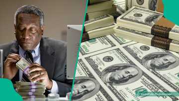 New FX rule: CBN orders BDCs to mark dollar transactions on international passports