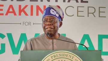Tinubu: Yadda aka yi wa 'Yan Arewa sakayya da rabon Mukamai - Mai Bada Shawara