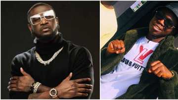 The wealth your father gave me: Peter Okoye replies fan who accused him of not using his money to help Nigeria