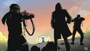 An kuma: 'Yan bindiga sun sake garkuwa da fasinjoji 50 a Neja