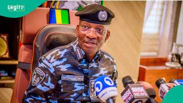 Tension rises in Kano amid the menace of jungle justice