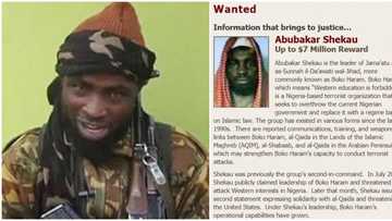 Abubakar Shekau: US reacts to reported death of Boko Haram leader, says ISIS won’t get $7m bounty