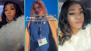 "I'm not returning to Nigeria": Lady earning N1.7 million weekly in America refuses to leave