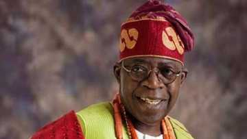 List of top groups openly backing Tinubu presidency in 2023