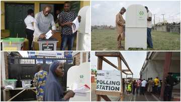 2023 elections: List of electoral offences you should know about and their penalties