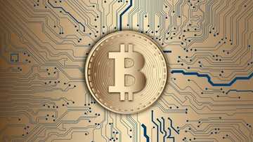 What Are the Differences Between Crypto and Traditional Coins?