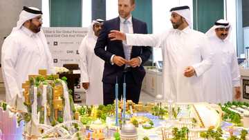 As Trump family's Gulf empire grows, rulers seek influence, arms, tech